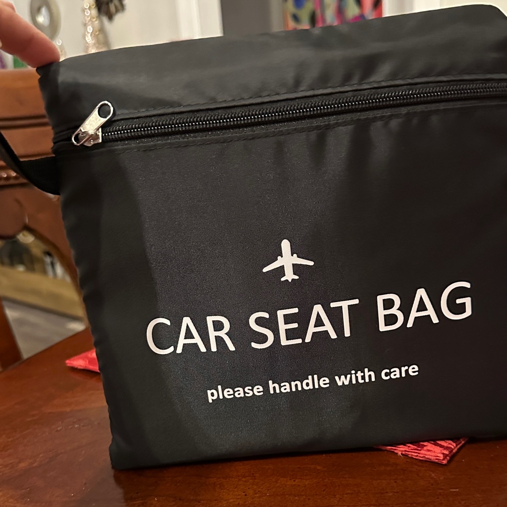 Black Car Seat Bag